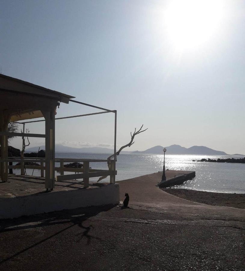 Hotel Rena Ágios Kírykos Εξωτερικό φωτογραφία
